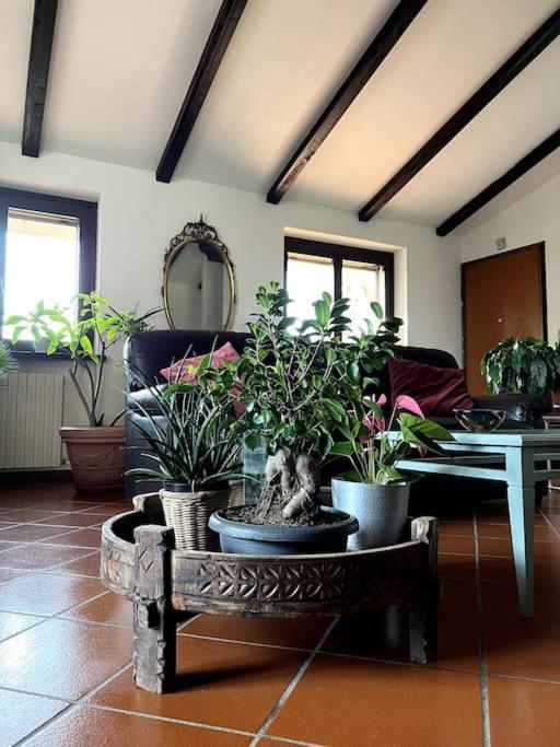 Apartment In Villa La Carruba ريفرغارو المظهر الخارجي الصورة