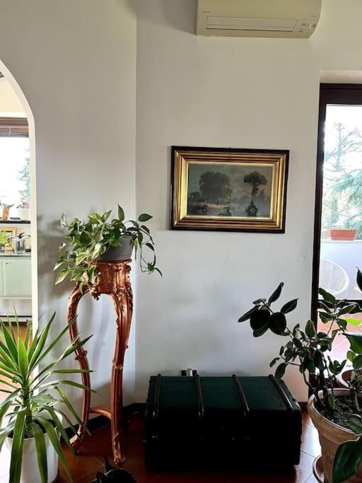 Apartment In Villa La Carruba ريفرغارو المظهر الخارجي الصورة