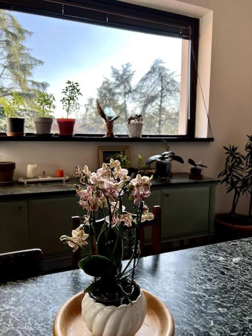 Apartment In Villa La Carruba ريفرغارو المظهر الخارجي الصورة
