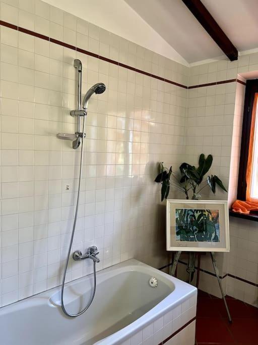 Apartment In Villa La Carruba ريفرغارو المظهر الخارجي الصورة