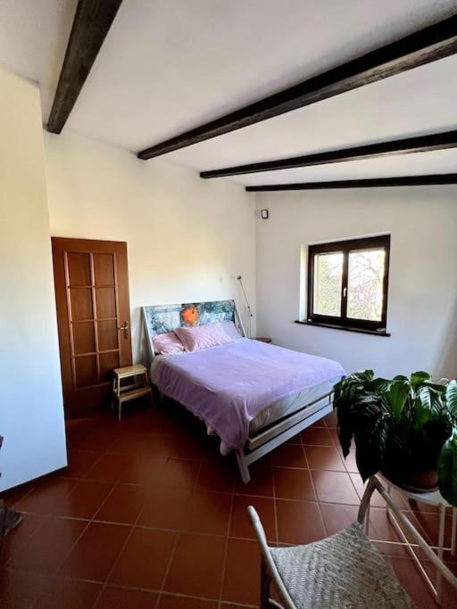 Apartment In Villa La Carruba ريفرغارو المظهر الخارجي الصورة